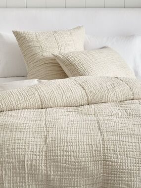 King Pottery Barn Duvet cover and Shams